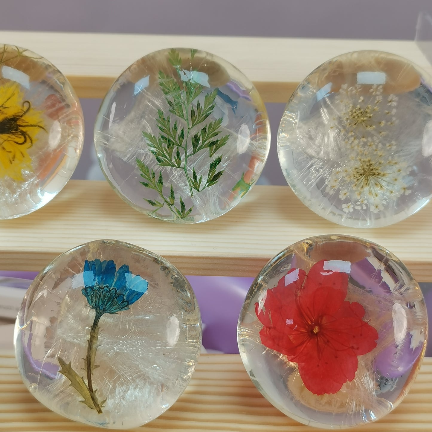 Round Soaps with Dry Flower